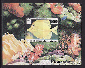 Гвинея, 1997, Рыбы, блок